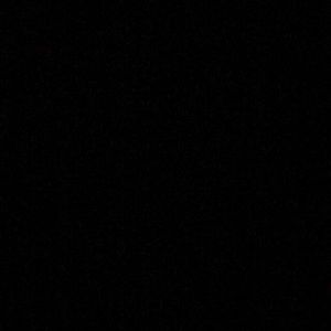 Meet your Posher, Raiden